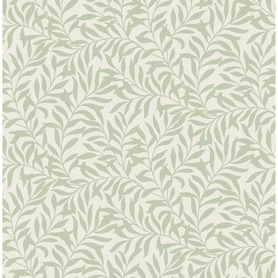 Salix Sage Leaf Wallpaper