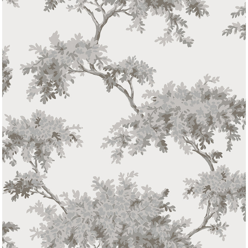 Ashdown Grey Tree Wallpaper M1671