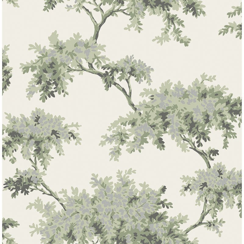 Ashdown Sage Tree Wallpaper M1673