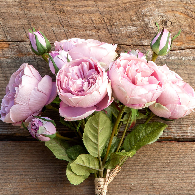 Antique Garden Rose Bundle, Maroon Blush