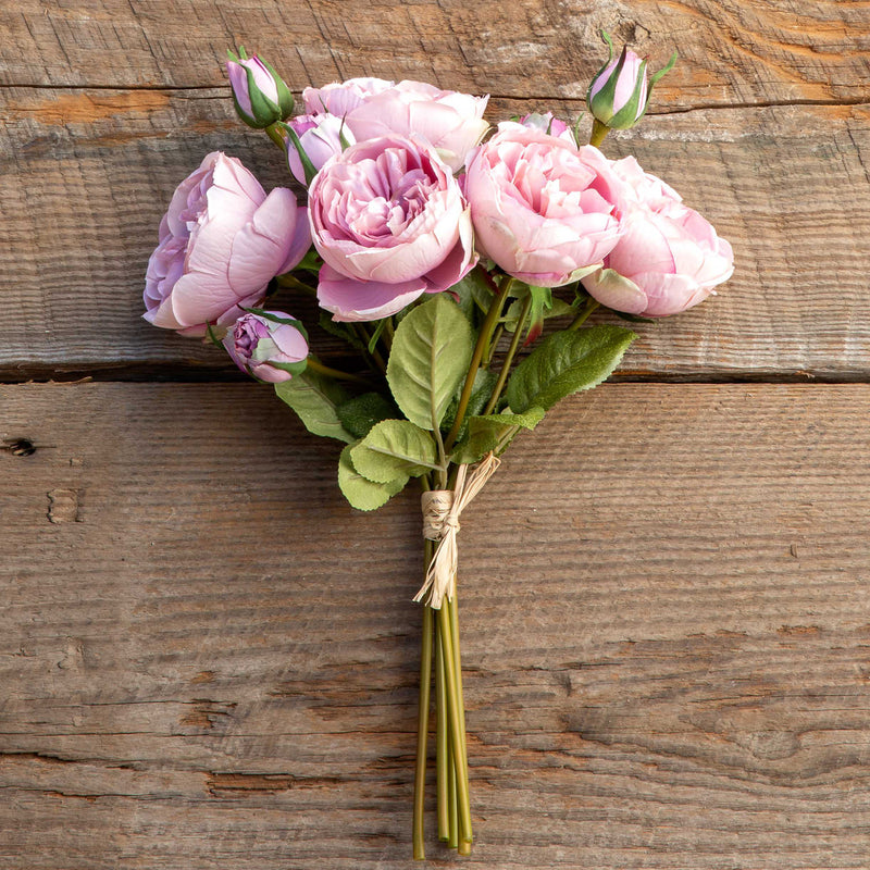 Antique Garden Rose Bundle, Maroon Blush