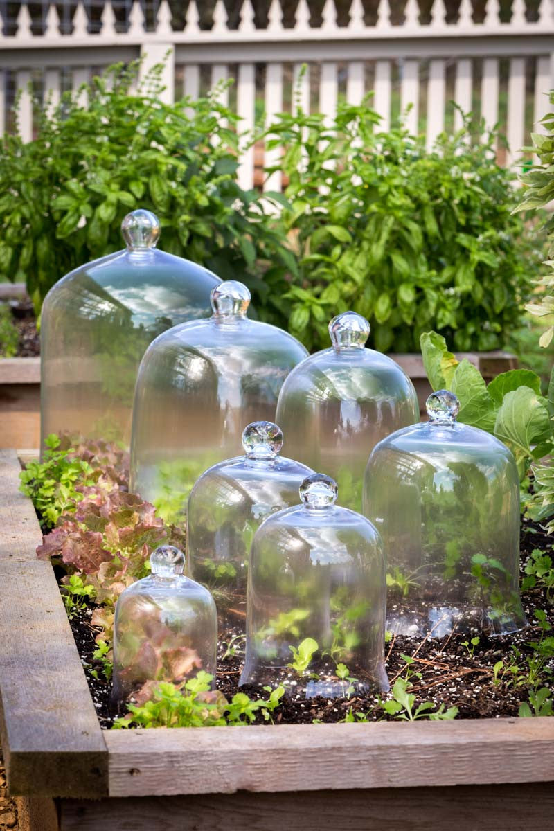 Petite Glass Bell Cloche Jar