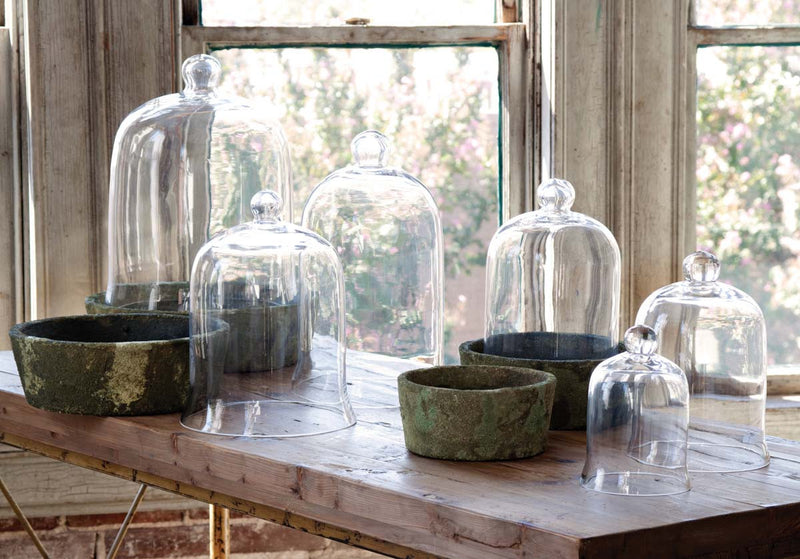 Small glass bell jar Cloche